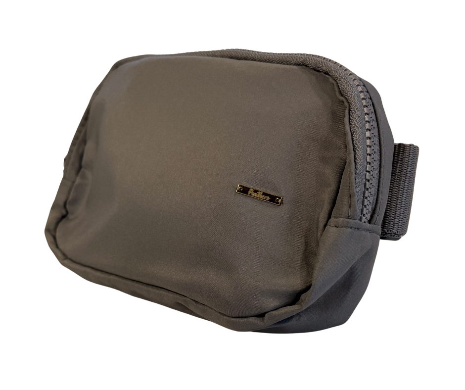 Panthers Crossbody/Hip Purse