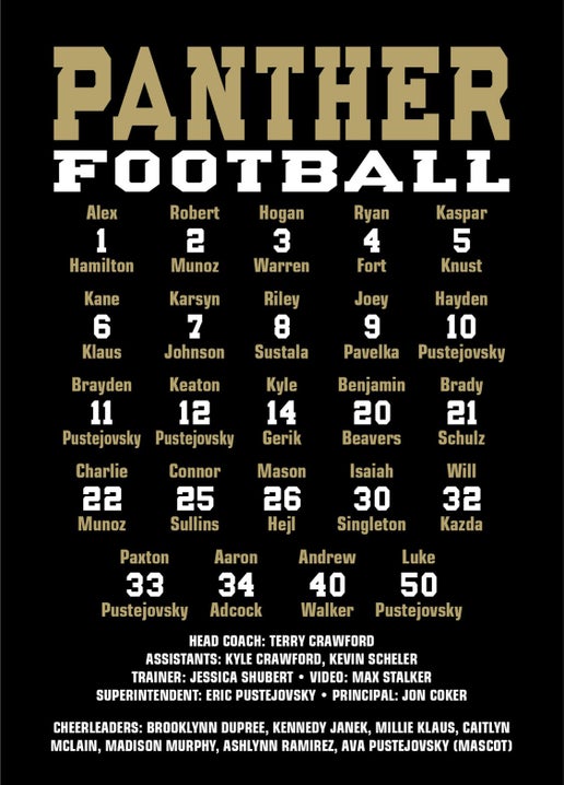 *2021 Football Playoff - Adult, Cotton, Short sleeve