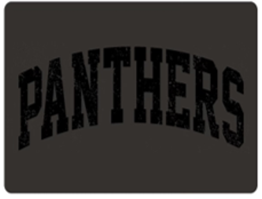 *Panthers -Comfort Colors Ring Spun Crewneck Sweatshirt